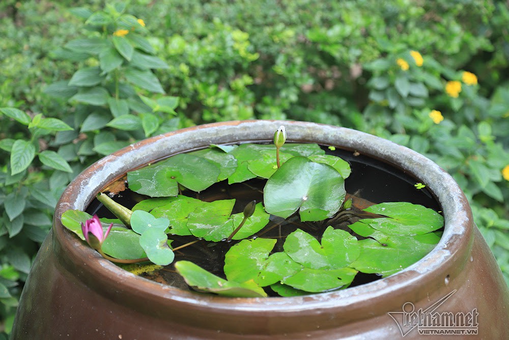 Đưa nhân tình về nhà, 1 đại gia ở Nam Định còn lập mưu hại vợ?