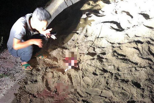 Bé trai 7 tuổi ở Hưng Yên bị đàn chó 6 con cắn tử vong - Ảnh 1.