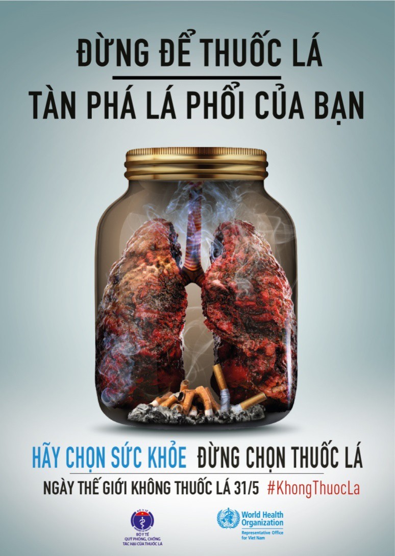 Bài viết liên quan