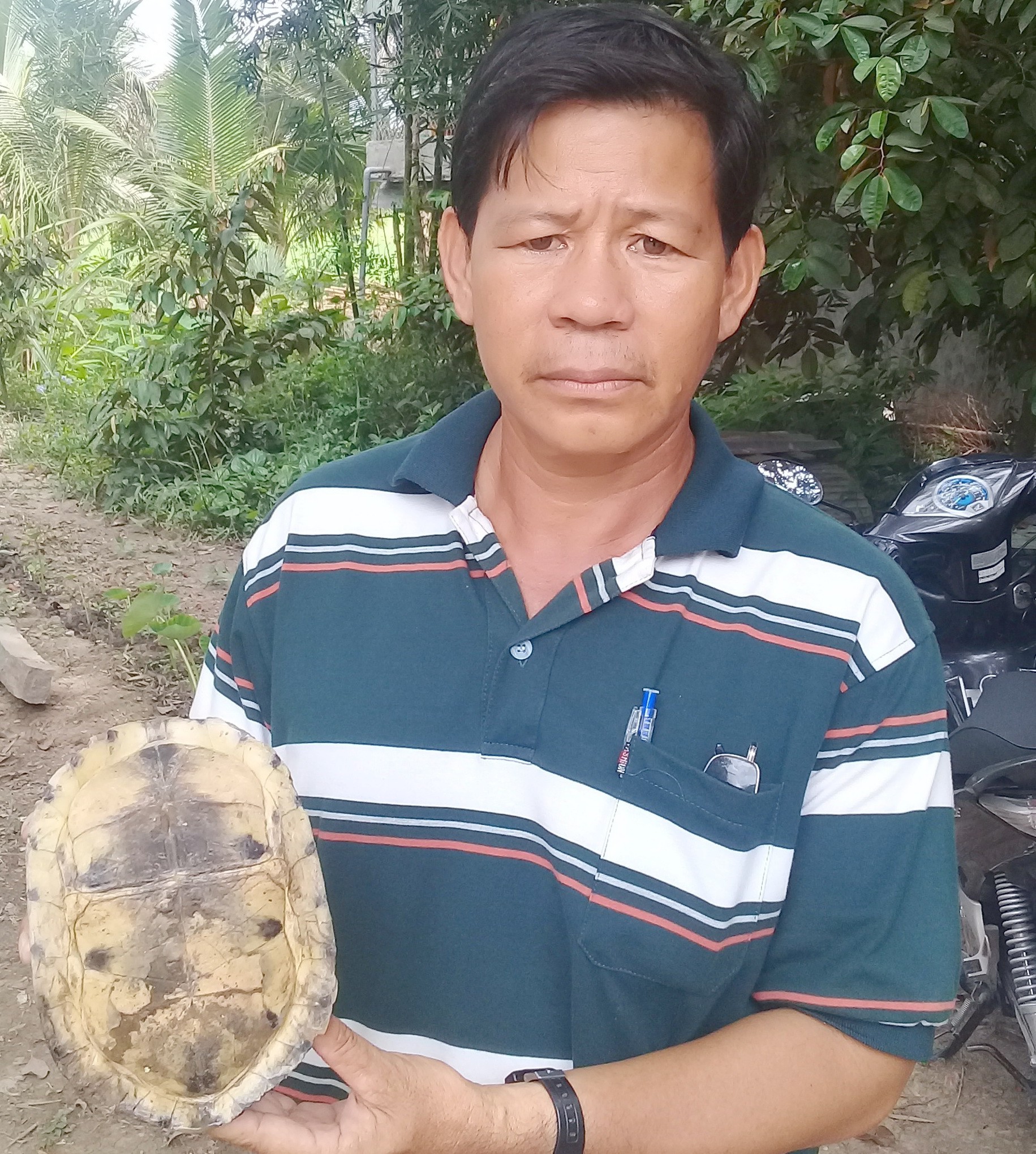Hết rắn và trăn khủng, người dân An Giang lại phát hiện rùa lạ hiếm  - Ảnh 2.