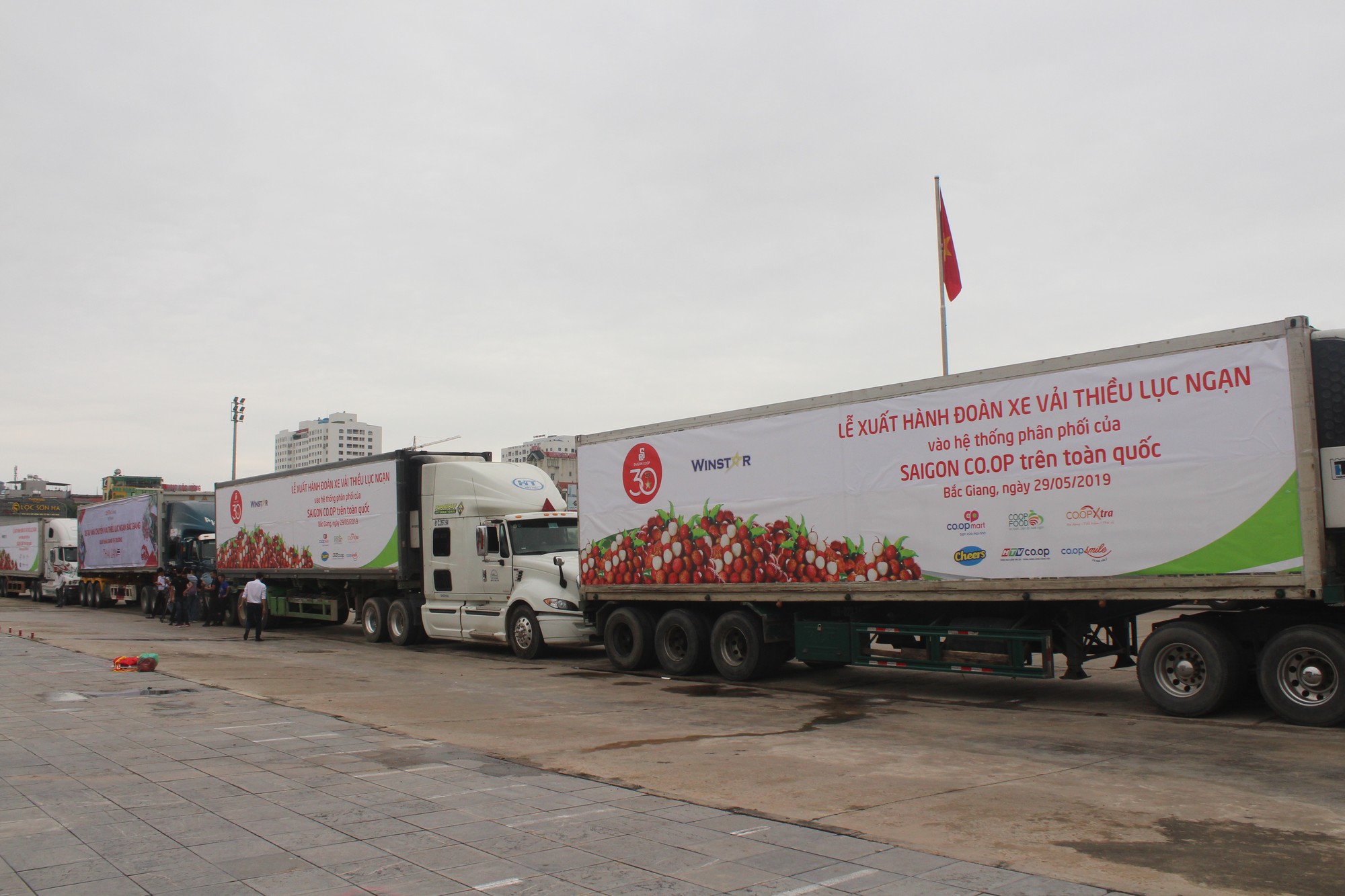 Dịch vụ vận chuyển vải thiều Bắc – Nam: Giao nhanh – Giữ tươi – Giá hợp lý Dịch vụ vận chuyển vải thiều Bắc – Nam: Giao nhanh – Giữ tươi – Giá hợp lý