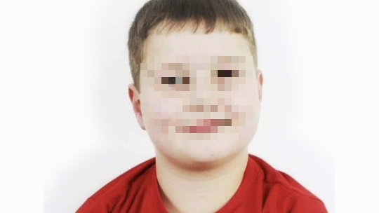 Bé trai 9 tuổi bị chó cắn chết ở Anh - Ảnh 1.