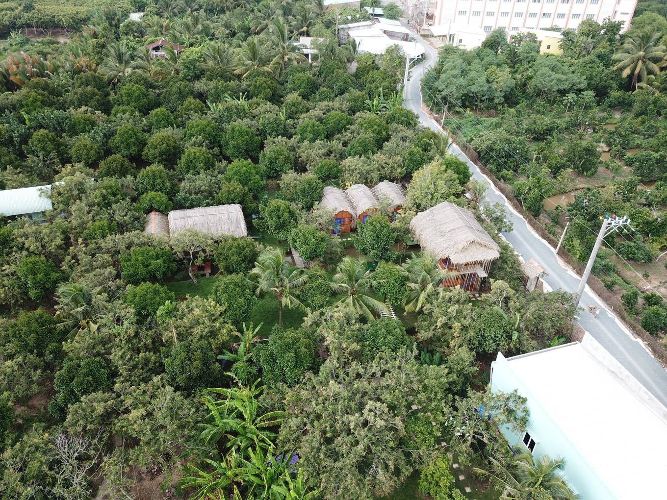 Homestay kiểu nhà tranh giữa vườn trái cây ở Tiền Giang - Ảnh 1.