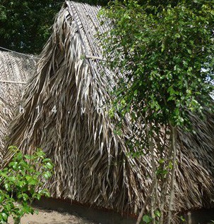 Bi kịch xảy đến khi người vợ đam mê dục vọng, bất chấp chồng con khuyên can