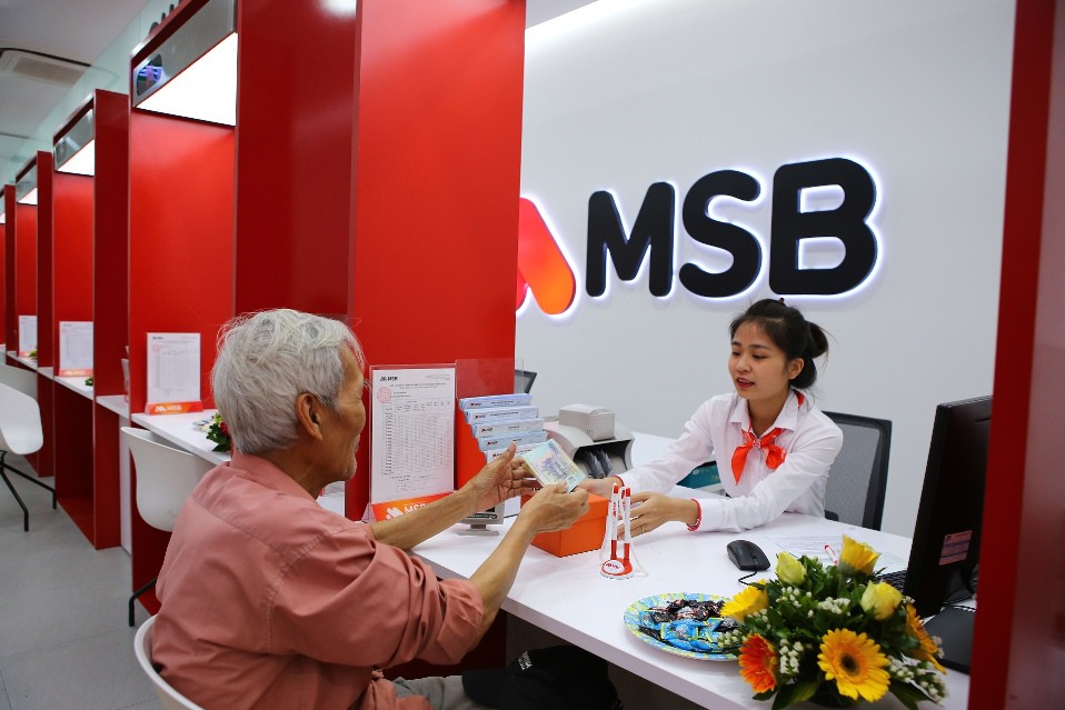 Bất ngờ về danh sách cổ đông lớn của các ngân hàng HDBank, OCB, MSB- Ảnh 3. Bất ngờ về danh sách cổ đông lớn của các ngân hàng HDBank, OCB, MSB- Ảnh 3.
