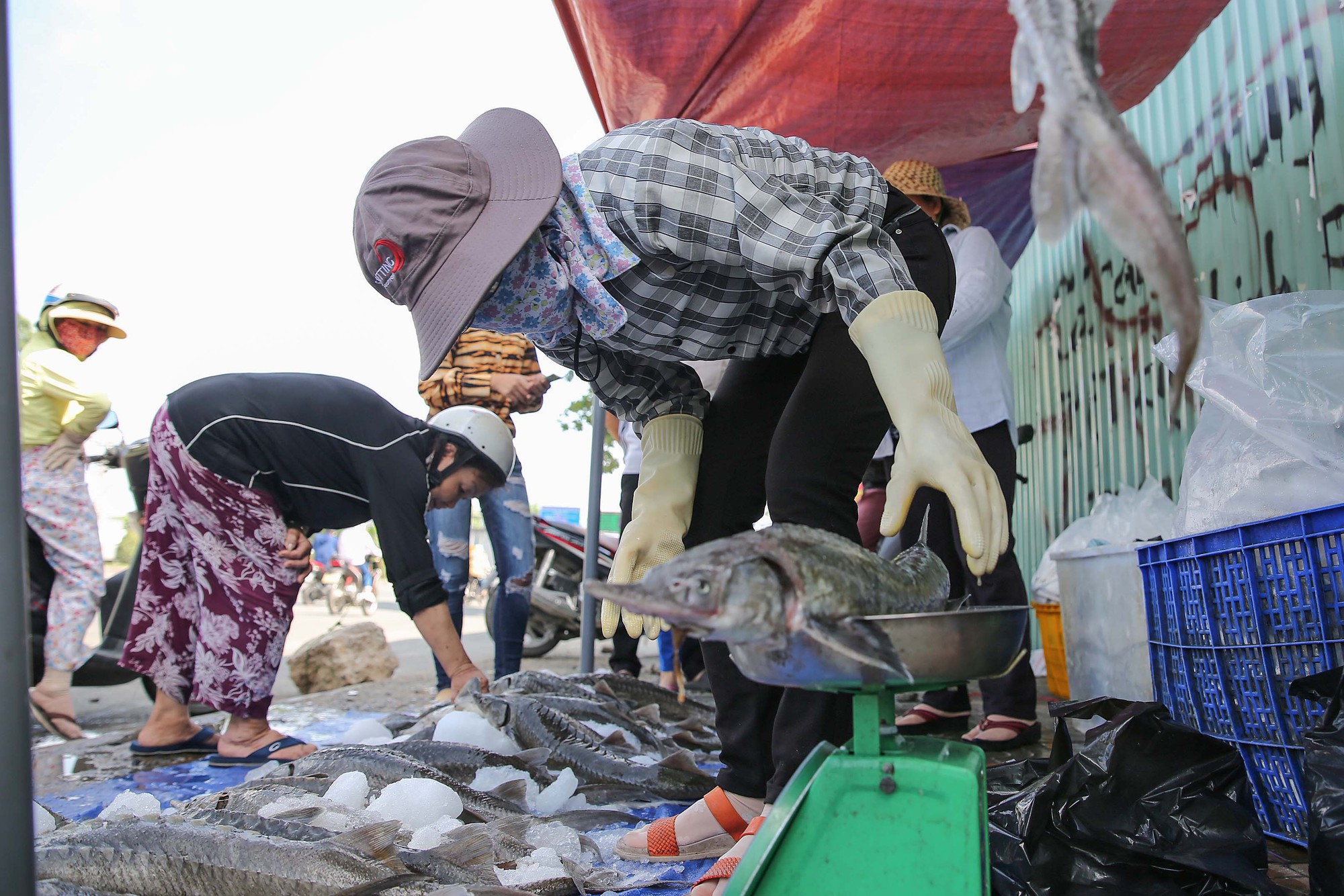 Người dân TP HCM chen nhau mua cá tầm bị ngộp nước - Ảnh 6.