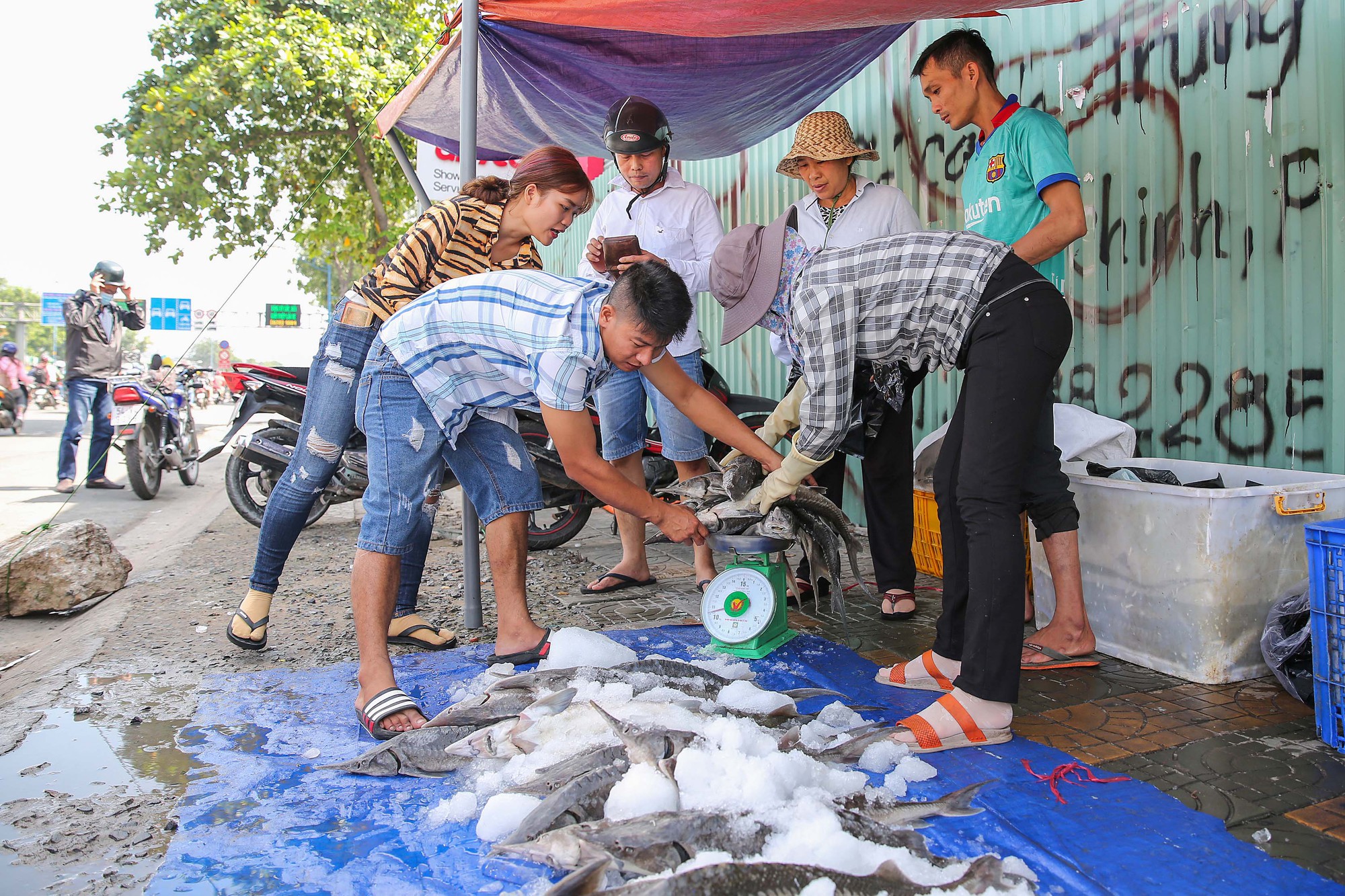 Người dân TP HCM chen nhau mua cá tầm bị ngộp nước - Ảnh 13.