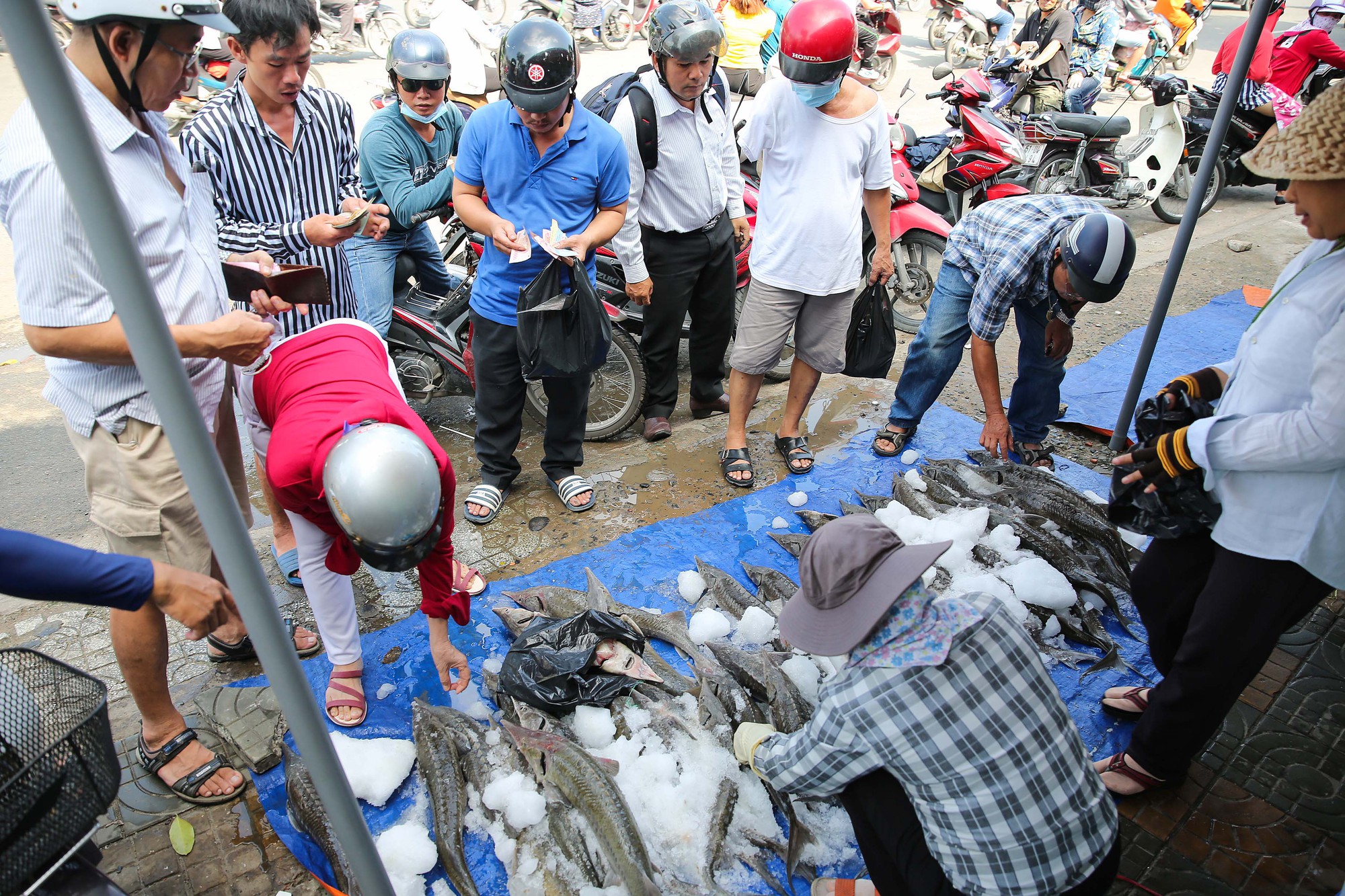 Người dân TP HCM chen nhau mua cá tầm bị ngộp nước - Ảnh 9.