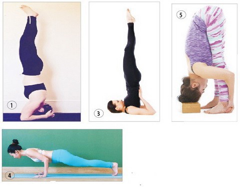 5 tư thế nguy hiểm với người mới tập yoga - Ảnh 1.