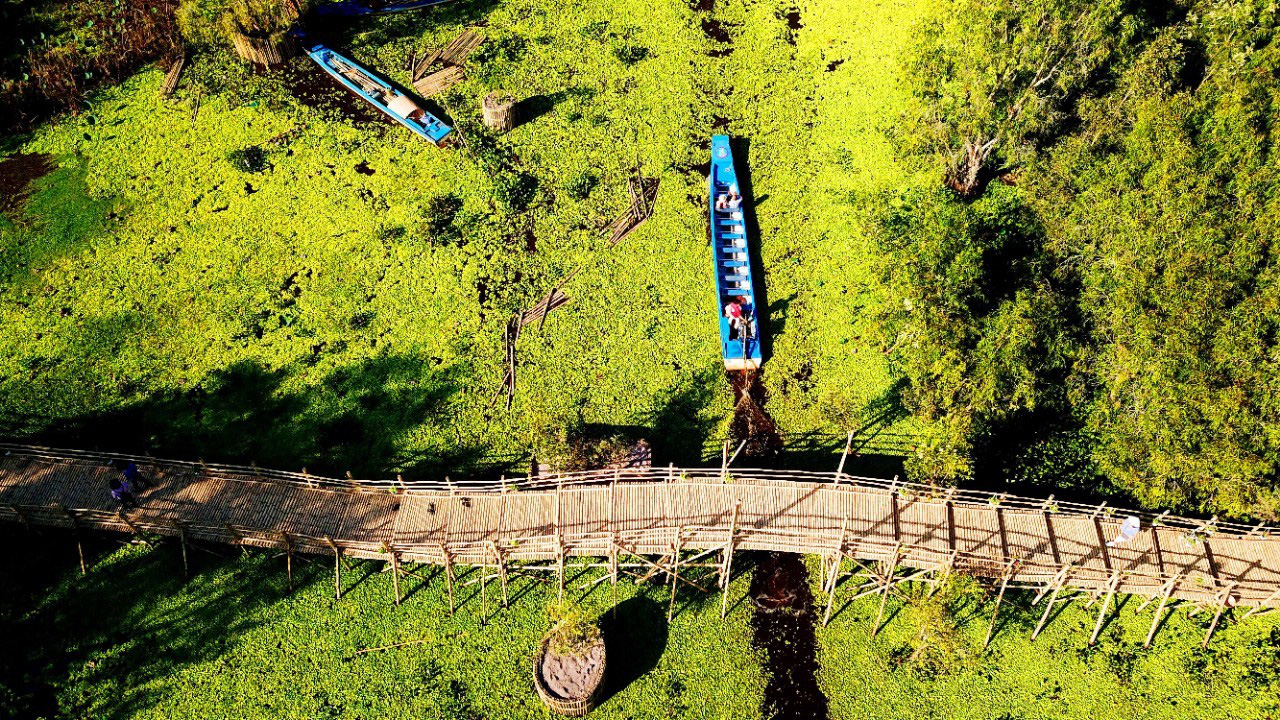 Ngỡ ngàng chiếc cầu tre dài nhất Việt Nam nằm giữa rừng tràm - Báo Người  lao động