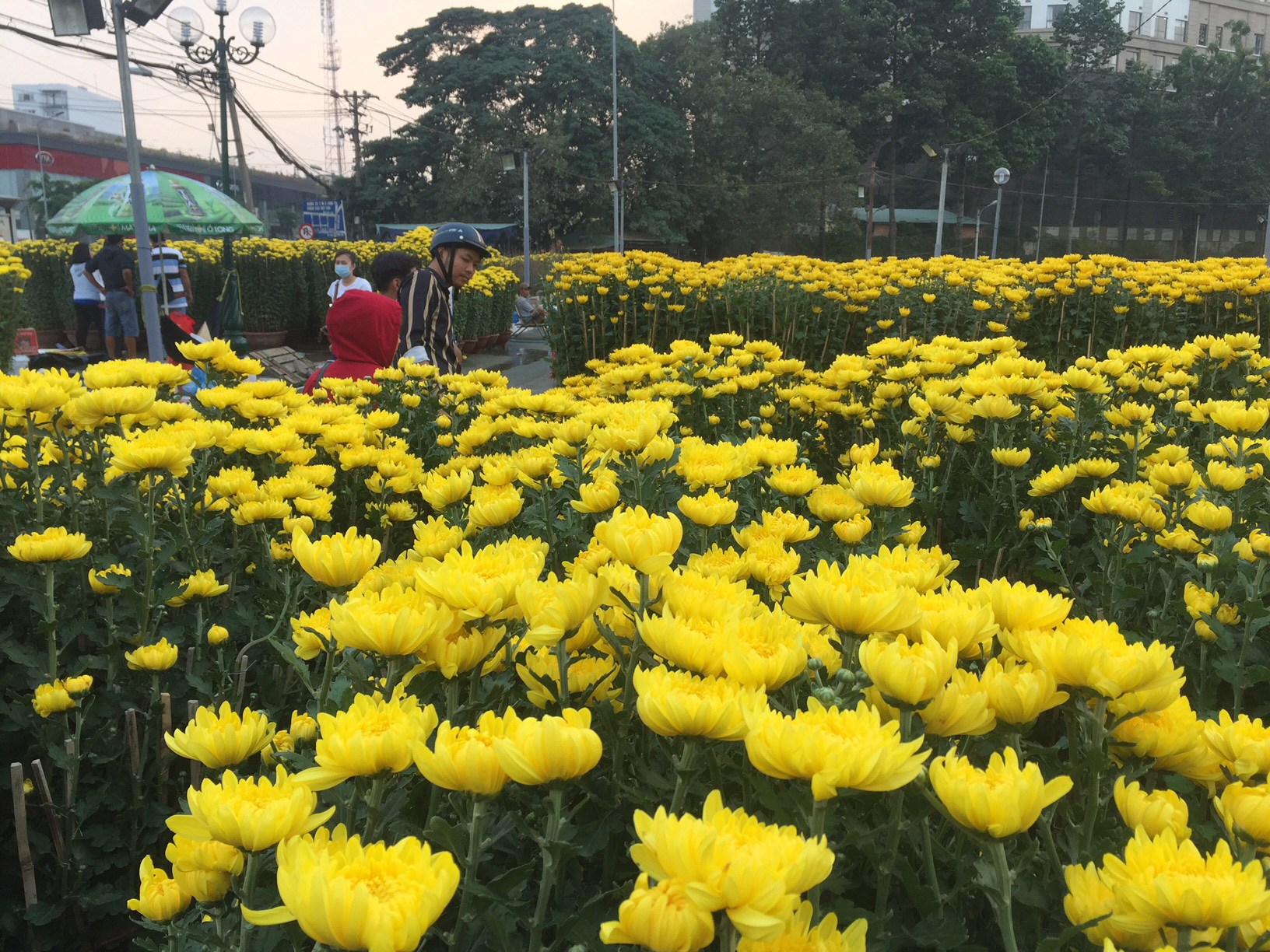 Gần 2000 ảnh chợ hoa ngày tết cổ truyền Việt Nam tuyệt đẹp  Mua bán hình  ảnh shutterstock giá rẻ chỉ từ 3000 đ trong 2 phút