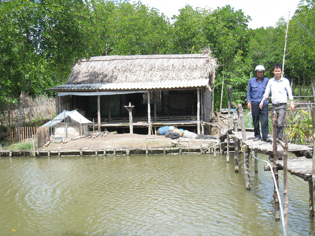 Nhà không cửa ở đất Mũi Cà Mau