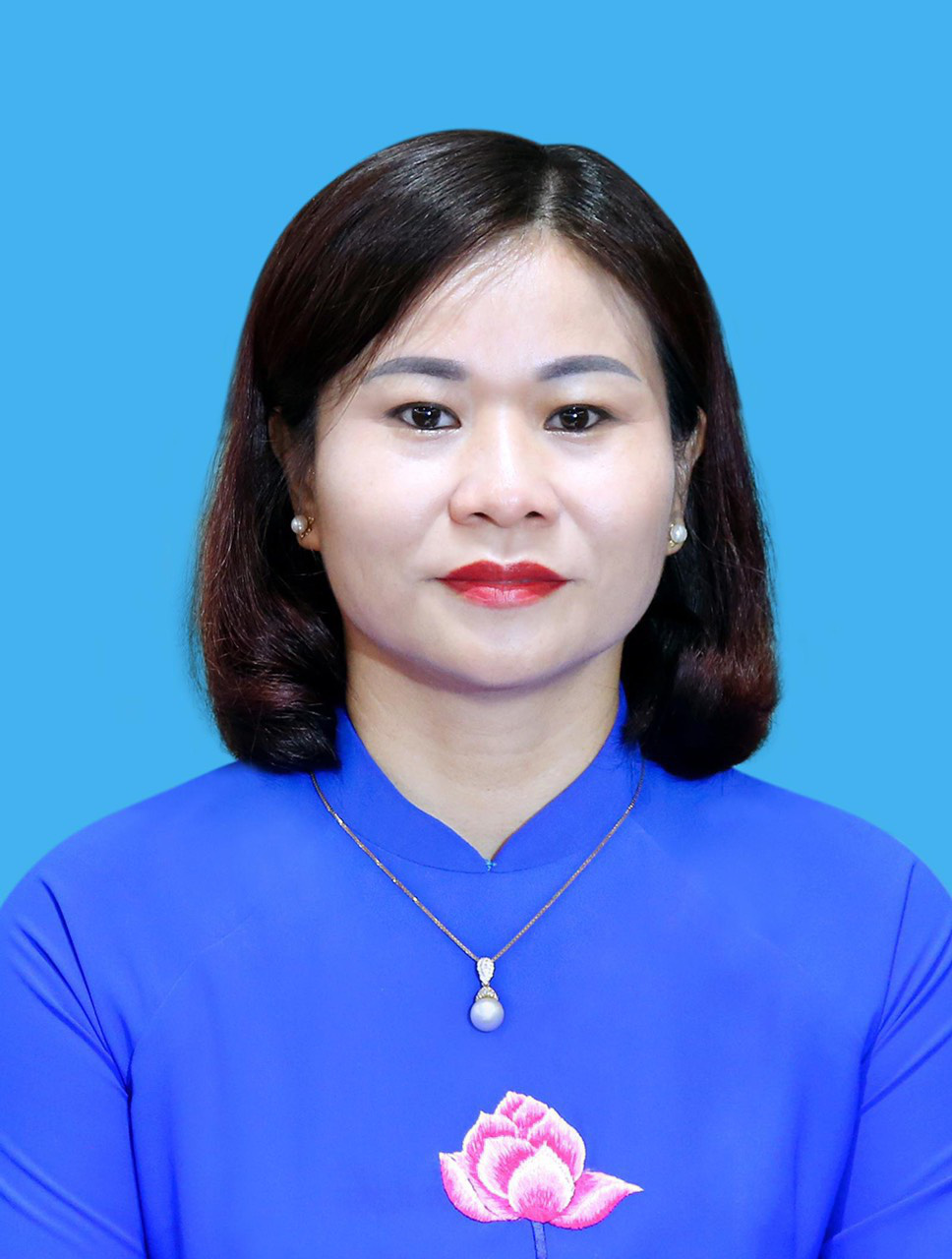 4 Who is the Undersecretary of the Hanoi City Party Committee?  - Photo 2.