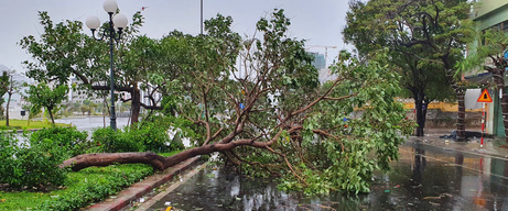 Phú Yên: Bão số 9 hiện giảm còn cấp 10 - Ảnh 6.