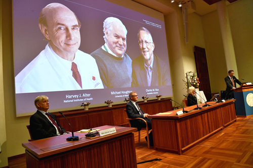 Giải Nobel Y học 2020: Tôn vinh khám phá về virus viêm gan C - Ảnh 1.