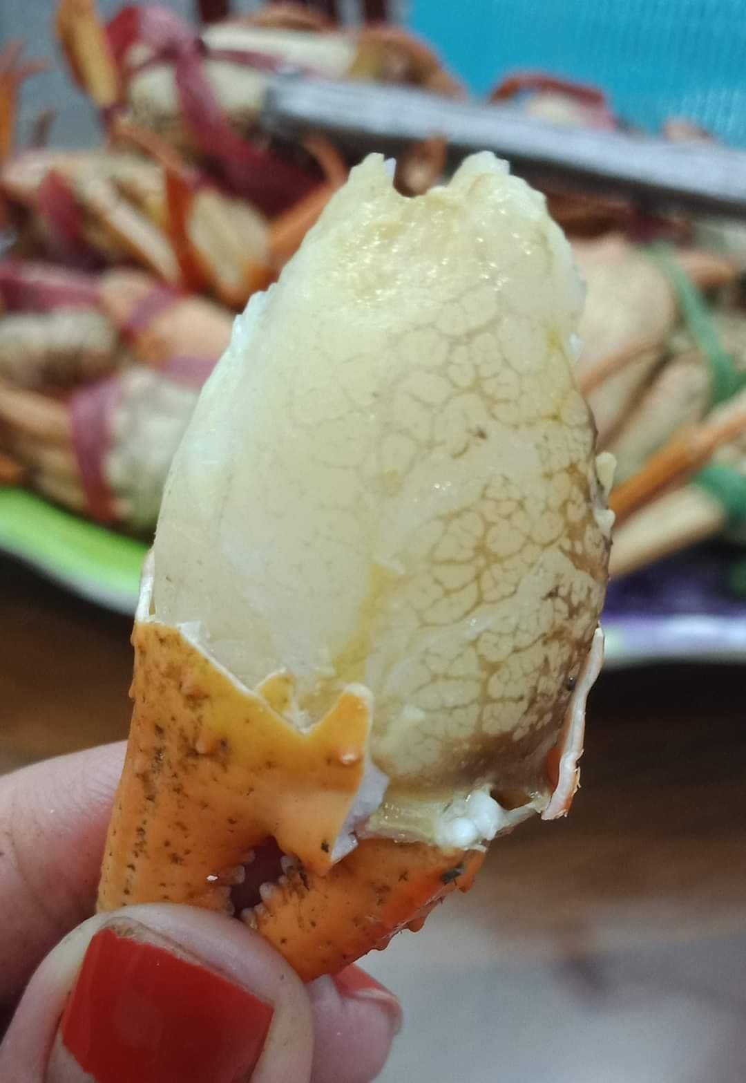 Cua núi đá ăn lá rừng: Đặc sản Hà Giang, ngon hơn cua biển - Ảnh 4.