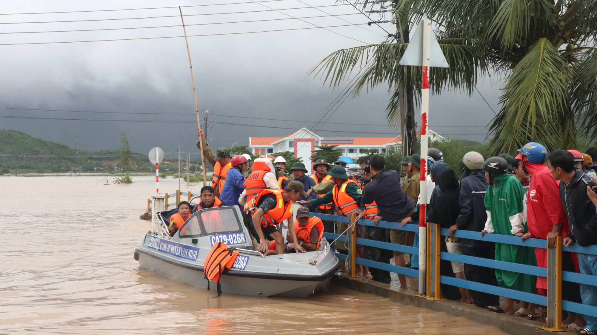 Khanh Hoa Department of Agriculture and Rural Development Director: Facing storms is like traveling, looking offensive!  - Photo 2.