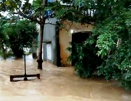 Bão số 12 áp sát bờ Phú Yên, Khánh Hòa, mưa rất to - Ảnh 3.