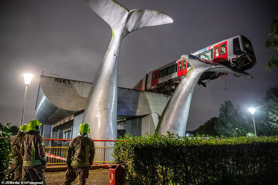 The subway train crossed the barrier, lying on the tail of a whale - Photo 1.