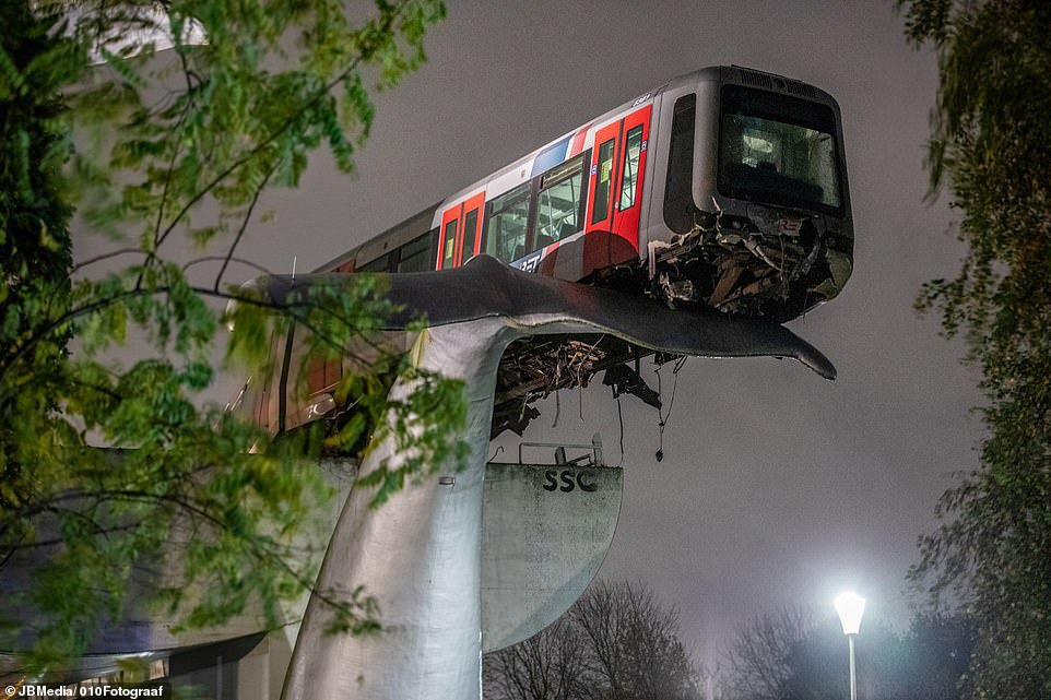 The subway train crossed the barrier, lying on the tail of a whale - Photo 2.