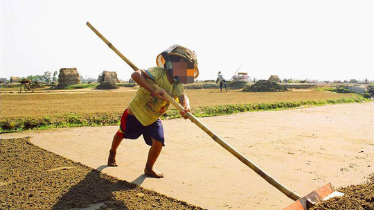 Hơn nửa triệu trẻ em Việt Nam làm công việc nguy hại đến sức khỏe, đạo đức - Ảnh 1.