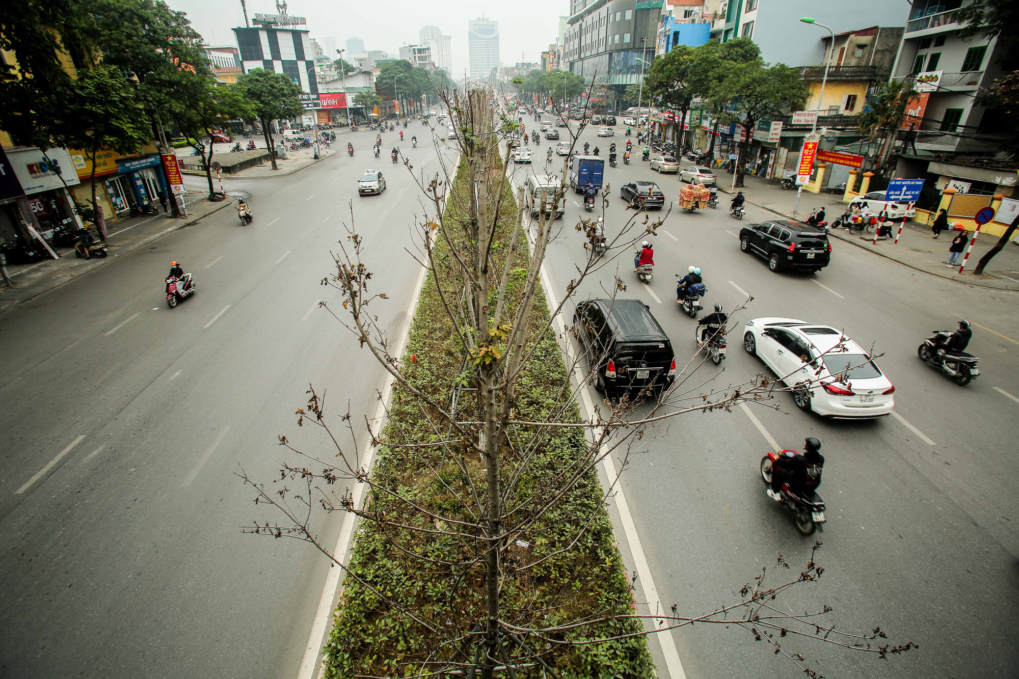 Đường phố những cây phong lá đỏ rực rỡ sắc màu là một thước phim rất đẹp của mùa thu. Hình ảnh cây phong lá đỏ đẹp trên đường sẽ làm cho bạn cảm thấy thoải mái, đầy năng lượng và cảm nhận được sự tuyệt vời của một mùa thu nơi đất trời Việt Nam.