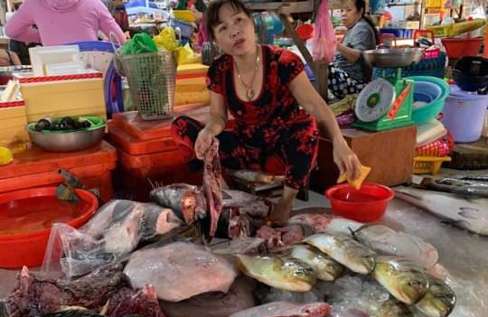 Lập biên bản xử lý tiểu thương vô tư xẻ thịt rùa xanh bán ở chợ Hà Tiên - Ảnh 1.