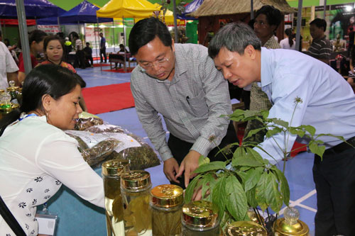 Lo Covid-19, Quảng Nam tổ chức chợ sâm Ngọc Linh tiền tỉ qua online - Ảnh 1.