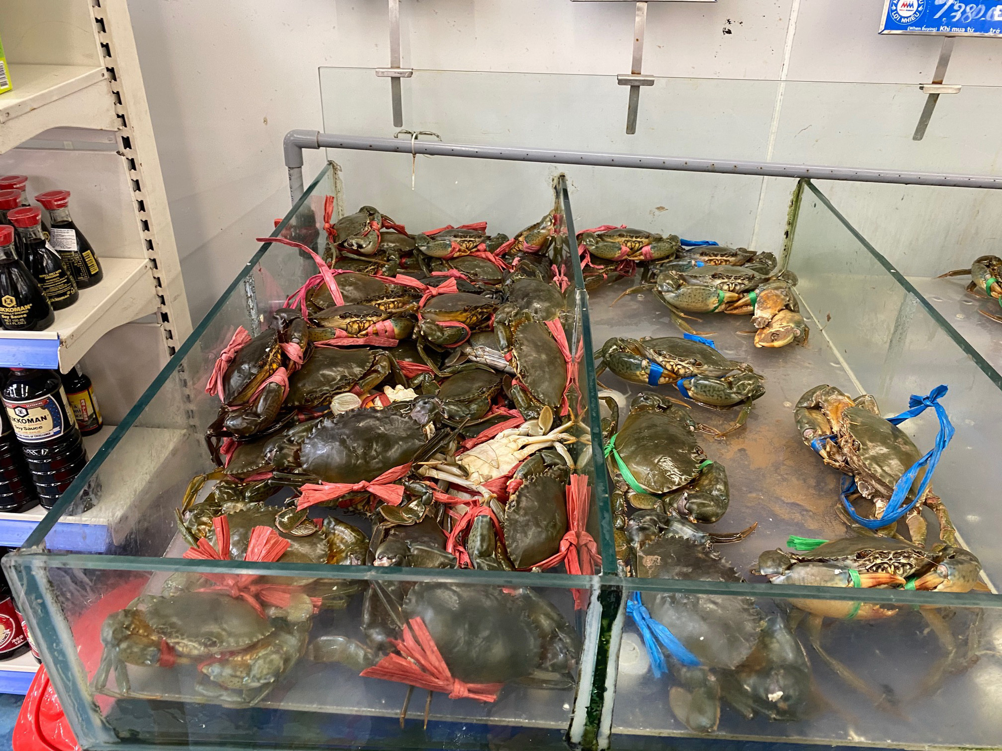 Nhiều loại tôm, cua, ốc giảm giá mạnh vì sức mua thấp - Báo Người lao động