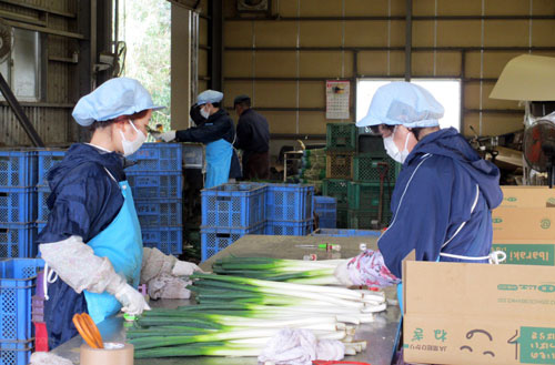 Nhật Bản bảo vệ quyền lợi lao động người nước ngoài trong dịch Covid-19 - Ảnh 1.