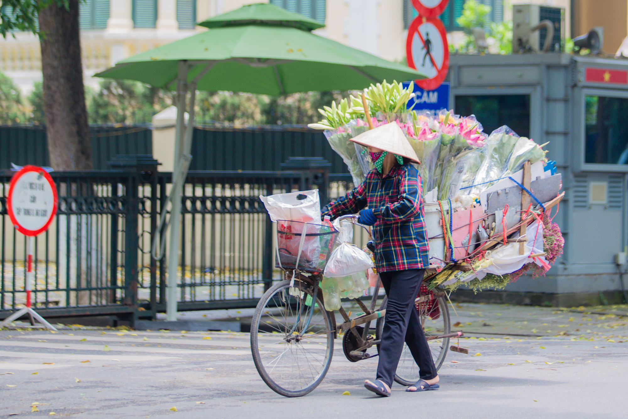 Hoa sen là biểu tượng của sự thanh lịch, tinh tế và thanh cao trong văn hóa Việt Nam. Hãy ngắm nhìn hình ảnh này để nhìn thấy sự đẹp mộng mơ của hoa sen, truyền cảm hứng và tinh thần trong cuộc sống hàng ngày của bạn.