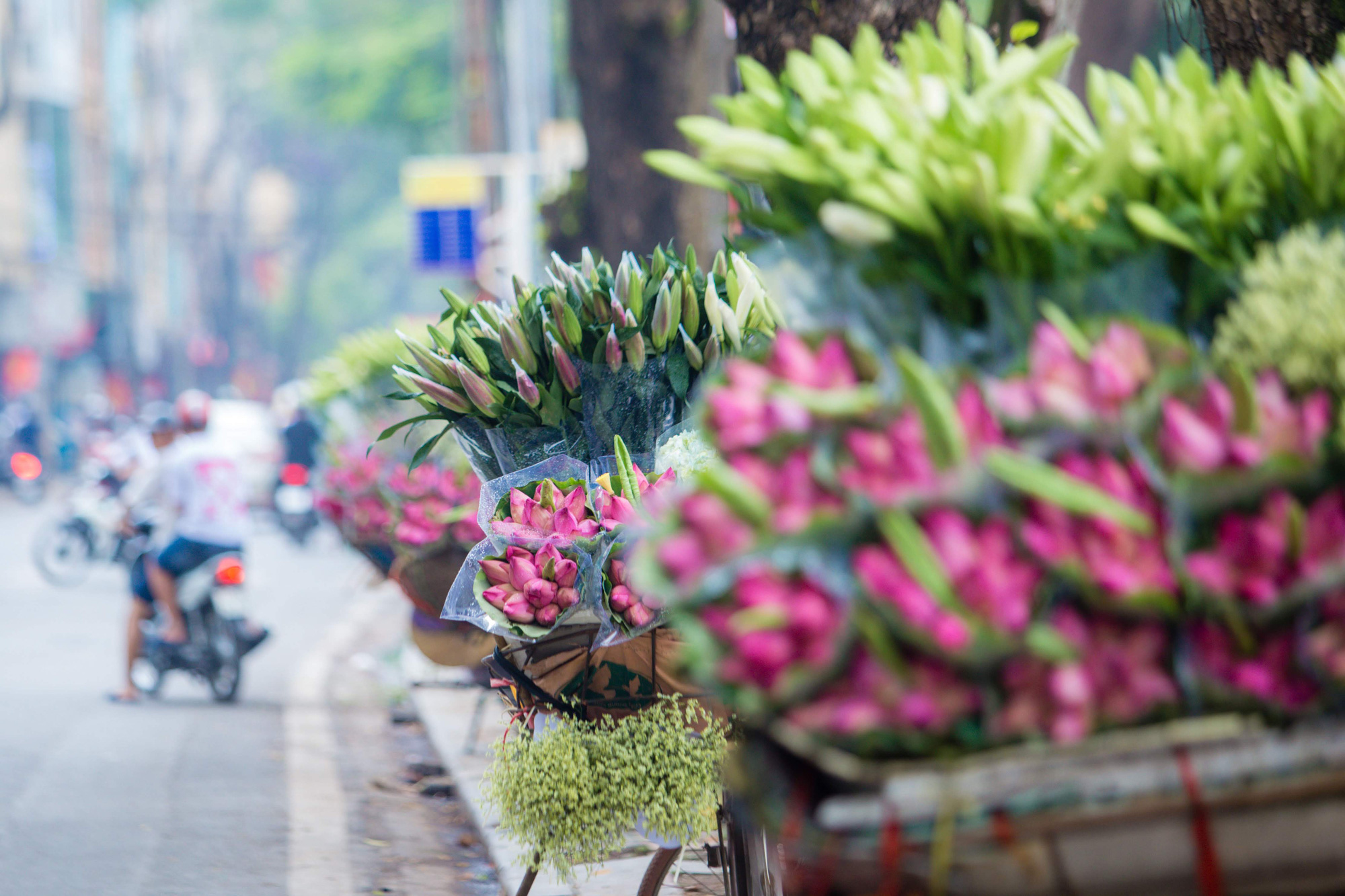Hoa sen phố Hà Nội là một trong những biểu tượng nổi tiếng của thủ đô đẹp nhất của chúng ta, nơi thu hút rất nhiều người quan tâm. Hình ảnh được chụp từ góc độ độc đáo này sẽ giúp bạn cảm nhận được không khí và vẻ đẹp của nơi đây.