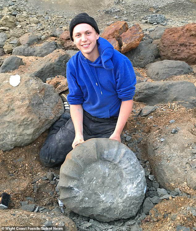Dạo biển, 2 sinh viên kéo được sinh vật lạ khỏi mộ đá 115 triệu năm - Ảnh 1.