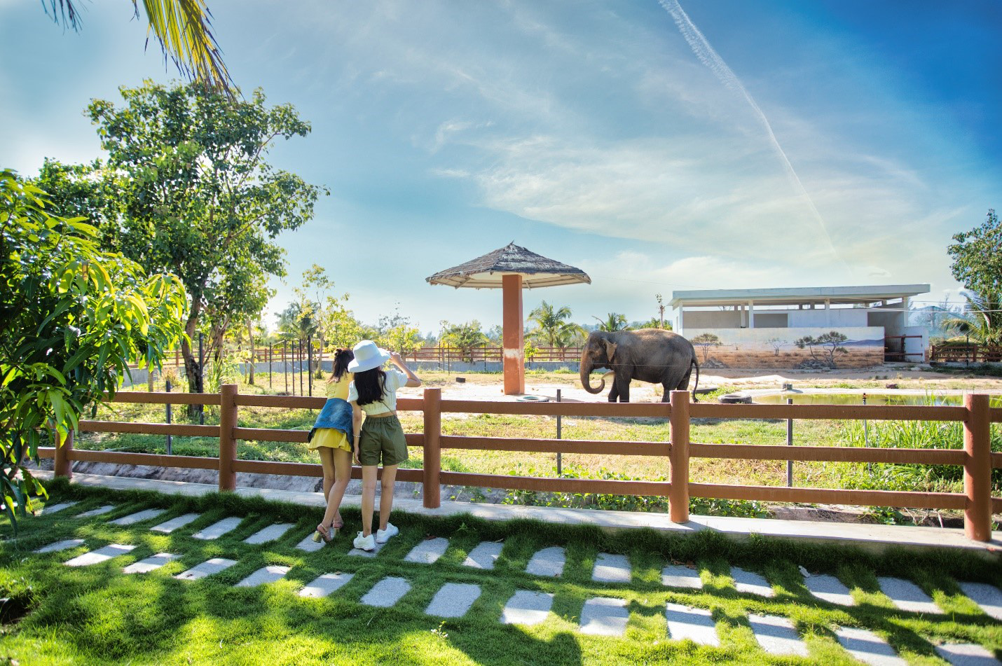 Ghé FLC Zoo Safari xem hổ săn mồi, chơi cùng voi và chuột túi Wallaby - Ảnh 4.
