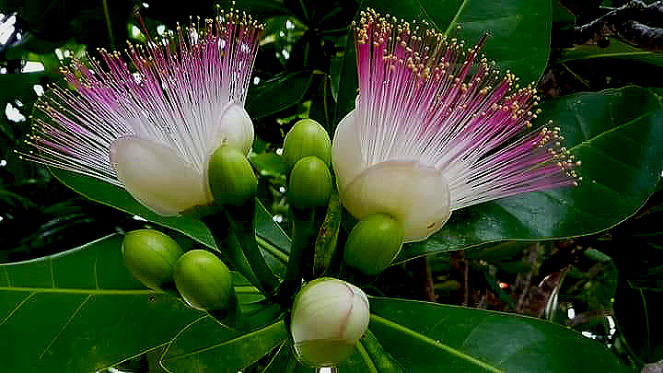 Cuộc thi về chủ quyền biển đảo: Một lần đến Trường Sa - Ảnh 2. Cuộc thi về chủ quyền biển đảo: Một lần đến Trường Sa - Ảnh 2.