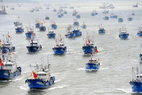 The United States Coast Guard declares war on Chinese fishing boats they hunt - Photo 2.