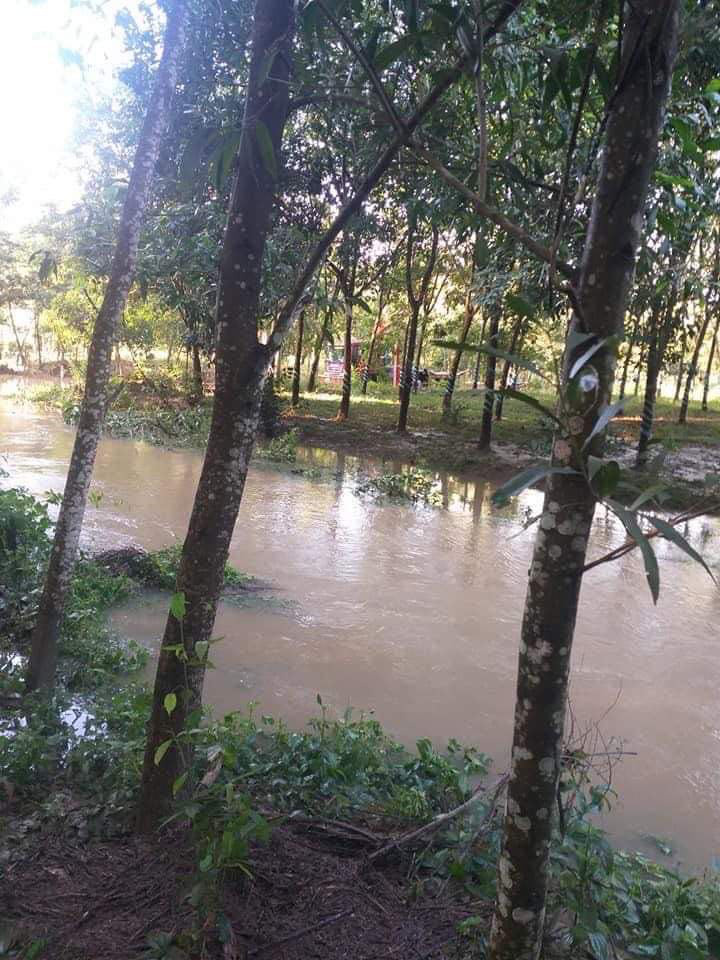 Body of the woman dragged down a ditch in Dong Nai - Photo 1.