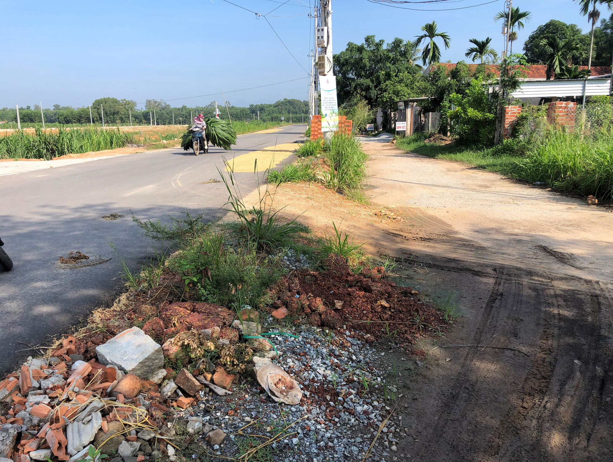 What did the chairman of the Quang Ngai Province People's Committee say after being disciplined when the department director was appointed?  - Photo 2.