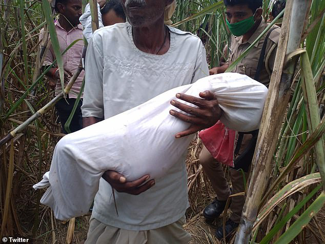 India: Family rape, the opponent raped and murdered 3 girls in the village - Photo 1.