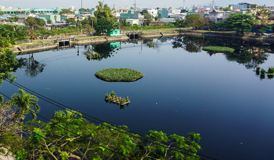 Người dân lo “mất Tết vì sống cạnh hồ điều tiết quanh năm ô nhiễm ở Đà Nẵng - Ảnh 3.