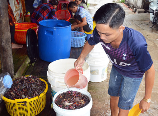 Cơ hội cho nghề truyền thống thăng hoa - Ảnh 2.