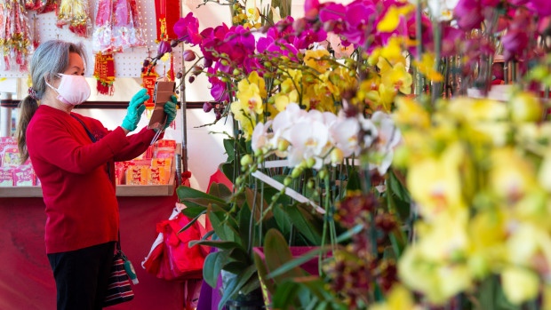 Mỹ: Chợ hoa Tết của người Việt ở khu Phước Lộc Thọ gây bất ngờ - Ảnh 1.