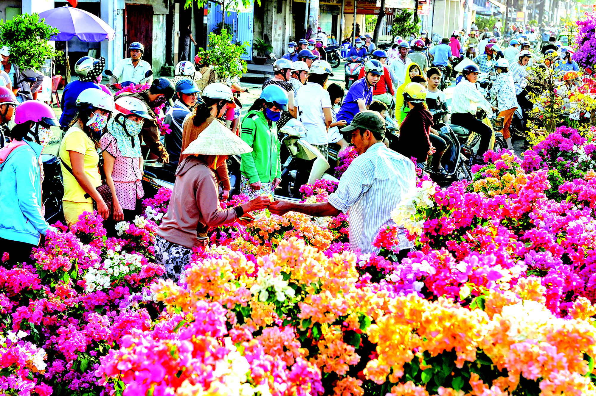 Chợ Tết quả là một bầu không khí sôi động, tưng bừng, tràn đầy sự khắc nghiệt. Chợ Tết với những quầy hàng đa dạng, cảnh quan hấp dẫn, rất dễ khiến cho bạn bị lạc trong thế giới cảnh quan của mùa xuân. Hãy đến chợ Tết và nhận biết một phần của nền văn hóa độc đáo của Việt Nam.
