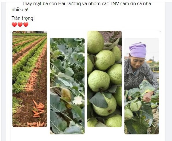 Người Hà Nội hỗ trợ bà con Hải Dương tiêu thụ rau củ - Ảnh 1. Người Hà Nội hỗ trợ bà con Hải Dương tiêu thụ rau củ - Ảnh 1.