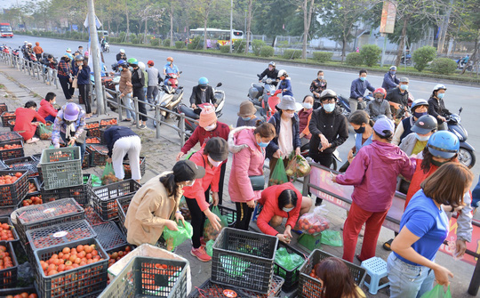 CLIP: Hàng trăm người dân đổ xô đi “giải cứu” nông sản Hải Dương - Ảnh 2.