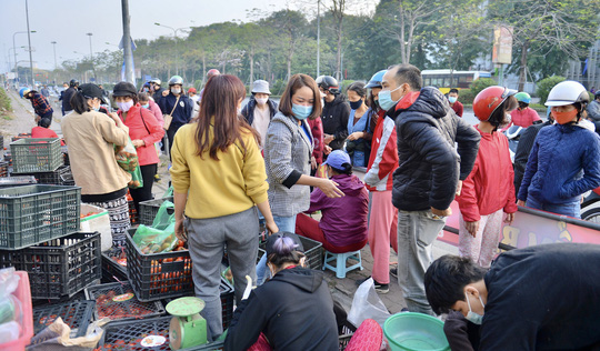 CLIP: Hàng trăm người dân đổ xô đi “giải cứu” nông sản Hải Dương - Ảnh 4.