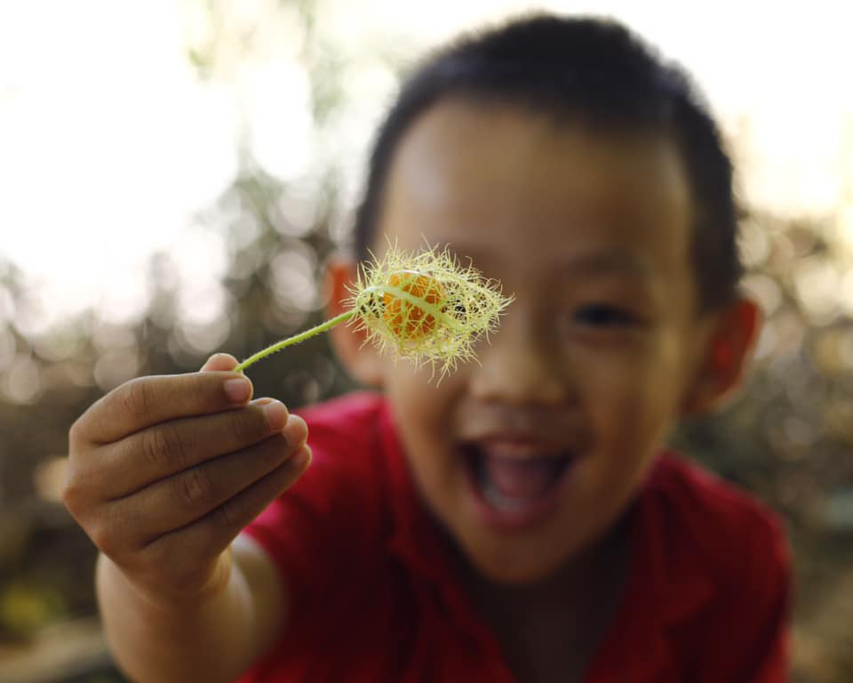 Những hình ảnh bình yên, tuyệt đẹp ở vùng biên giới Tây Nam đầy nắng - Ảnh 10.