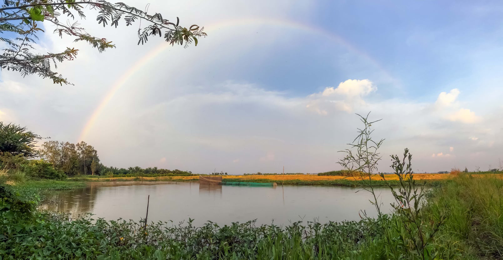 Những Hình Ảnh Bình Yên, Tuyệt Đẹp Ở Vùng Biên Giới Tây Nam Đầy Nắng - Báo  Người Lao Động