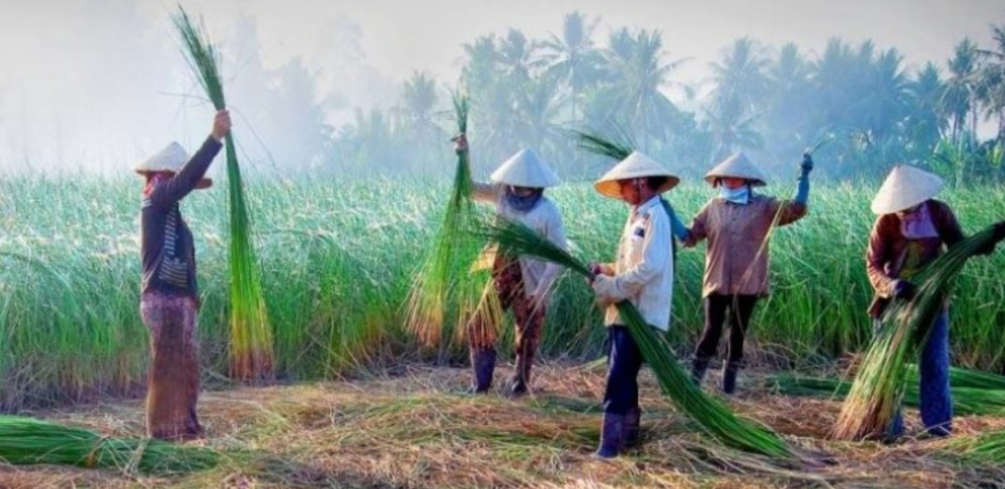 CLIP: Ngỡ ngàng làng chiếu trăm năm được UNESCO vinh danh - Ảnh 2.