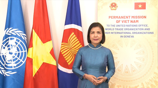 Những dấu ấn văn hóa đặc sắc trong Ngày Việt Nam tại Thuỵ Sỹ năm 2021 - Ảnh 3.
